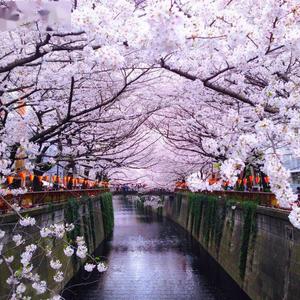 春よ、来い（春天，来吧）