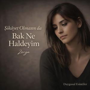 Bak Ne Haldeyim