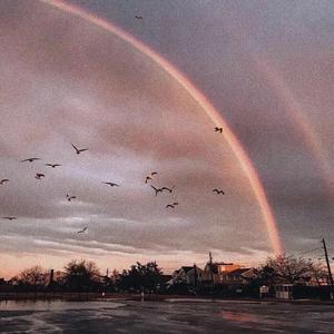 飞鸟撞彩虹（女生抒情版）