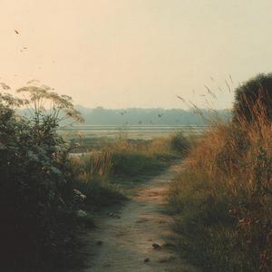 바람이 머물던 길