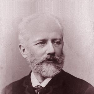 柴可夫斯基 糖果仙子舞曲（胡桃夹子组曲）