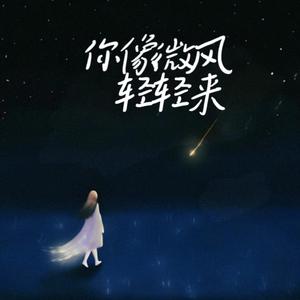你像微风轻轻来
