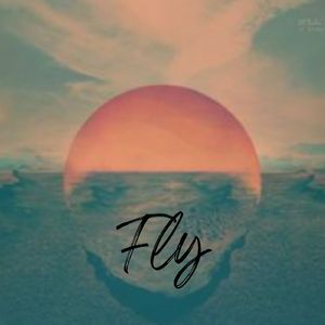 Fly