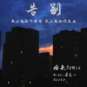 刘若英-后来mix（Wu.zzi remix）