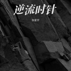 孤影长巷-张星宇 伴奏
