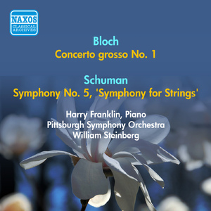 Symphony No. 5, "Symphony for Strings":I. Molto agitato ed energico