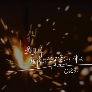 遇见你就像生命里落下了一束光