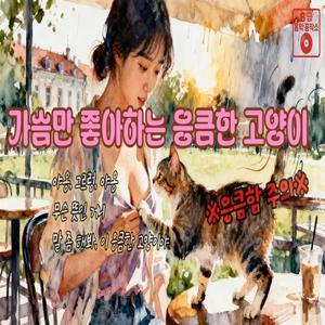 가슴만 좋아하는 응큼한 고양이