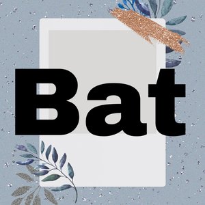 Bat