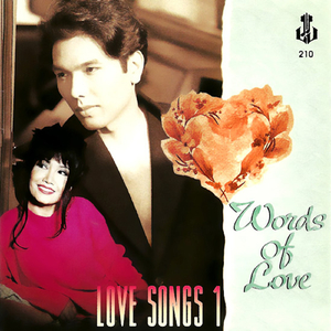 I Love You More Than I Can Say