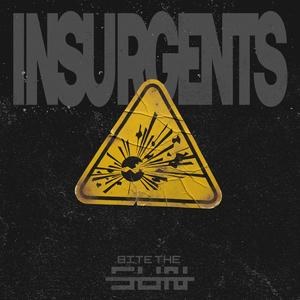Insurgents