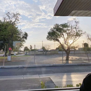 年少轻狂就一回