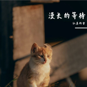 漫长的等待 伴奏