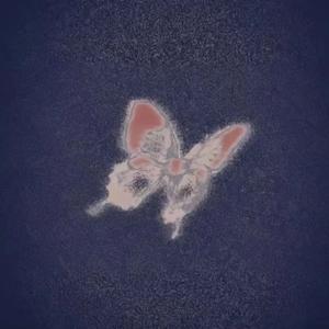 爱非只言片语（prod HG追风）