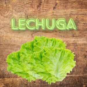 Lechuga