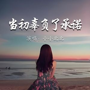 当初辜负了承诺