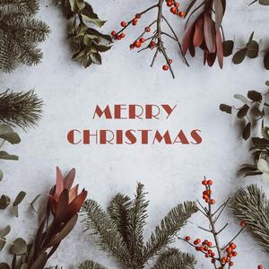 Auld lang syne (逝去已久的日子)