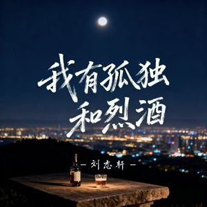 我有孤独和烈酒（空拍）