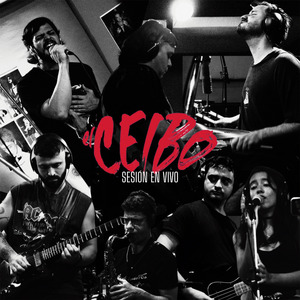 Rocanrol Sin Condición
