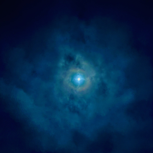 어느 신사의 몰락