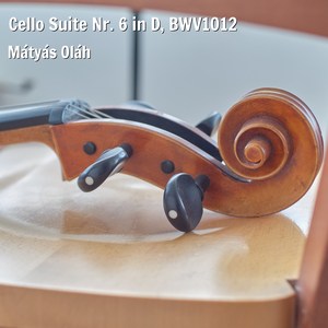 Cello Suite Nr. 6 In D, Bwv 1012 - 2. Allemande