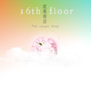 16 floor