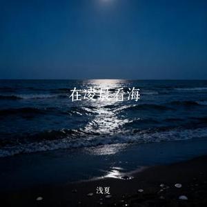 在凌晨看海