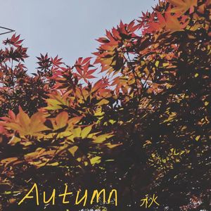 Autumn 秋