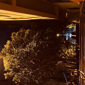 Bizim Mahalleden Nejat