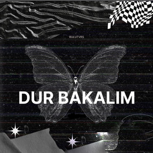 Dur Bakalım