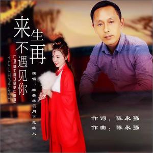 来生不再遇见你