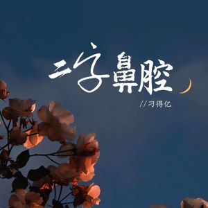 二字鼻腔