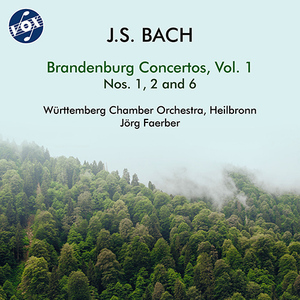 Brandenburg Concerto No. 2 in F Major, BWV 1047:II. Andante