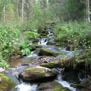 Не дописаные куплеты