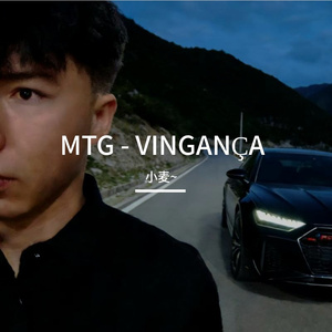 MTG - VINGANÇA