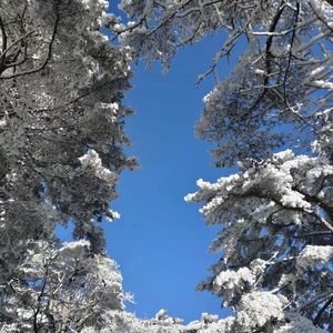 片尾曲（prod by Yn1Jasper）