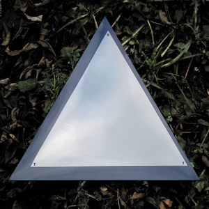 Rise from the Peat and Walk