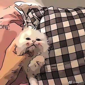 渣男自述