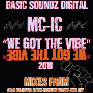 We Got The Vibe 2018 (Kris Jay Bassline Remix)