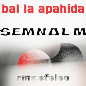 BAL LA APAHIDA ceterasi de la CLUJ