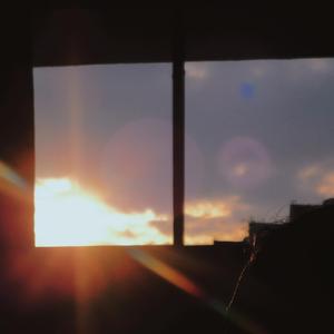 她（by.CodyCash）