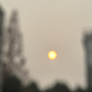 不要内耗，释怀自己