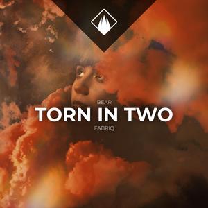 Torn In Two