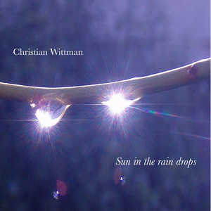 Sun in the Rain Drops