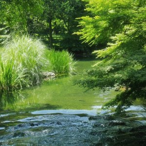 盛夏与初遇