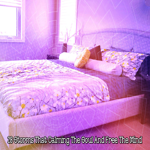 清新宁静的风暴