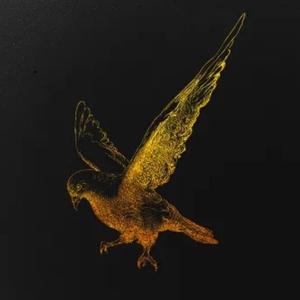 免费Free Dark Trap type beat 暗黑风格 一个奇怪的beat