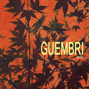 Guembri Blues