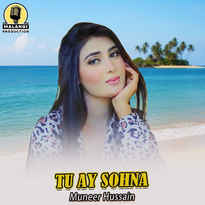 Tu Ay Sohna (1)