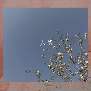 奉天组-暴风雨remix（BaetC remix）